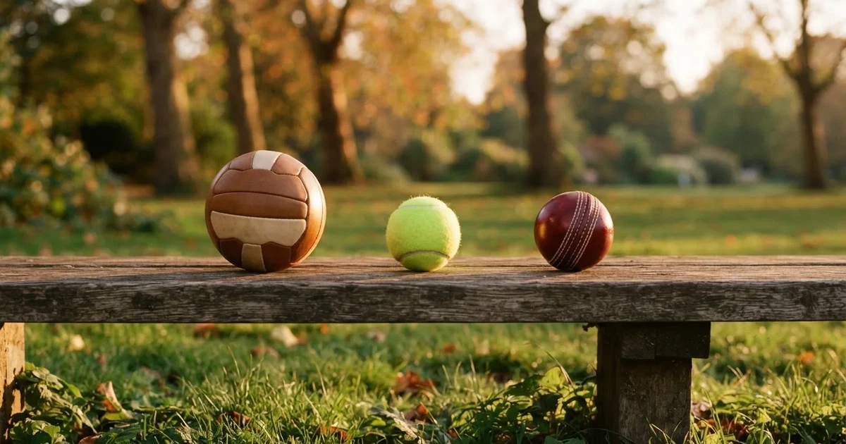 Three balls of different kinds side by side on a wooden bench